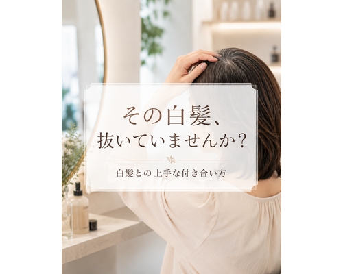 70A9AF0B-FFBD-4972-AA0C-F095A08B8B24